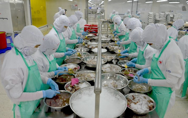 Hà Lan đề nghị làm rõ một số vấn đề về chứng nhận thủy sản Việt Nam ảnh 1