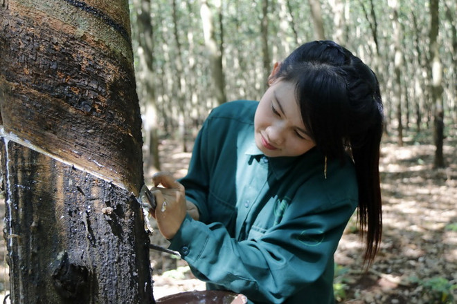 Doanh nghiệp Việt Nam giúp các địa phương Lào giảm đói nghèo ảnh 1