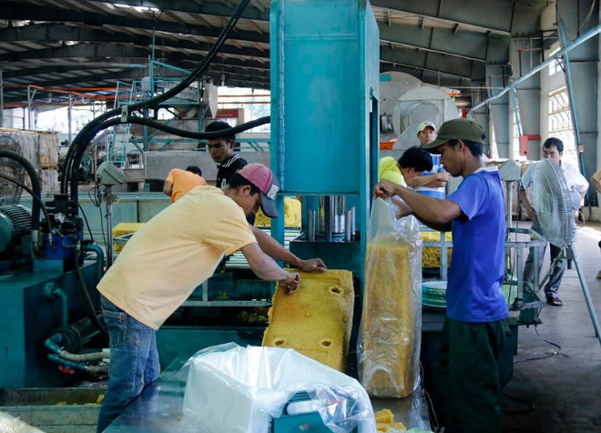 Doanh nghiệp Việt Nam giúp các địa phương Lào giảm đói nghèo ảnh 2