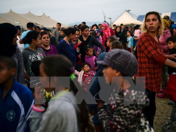 Các nước EU thúc đẩy việc thành lập lực lượng bảo vệ bờ biển ảnh 1