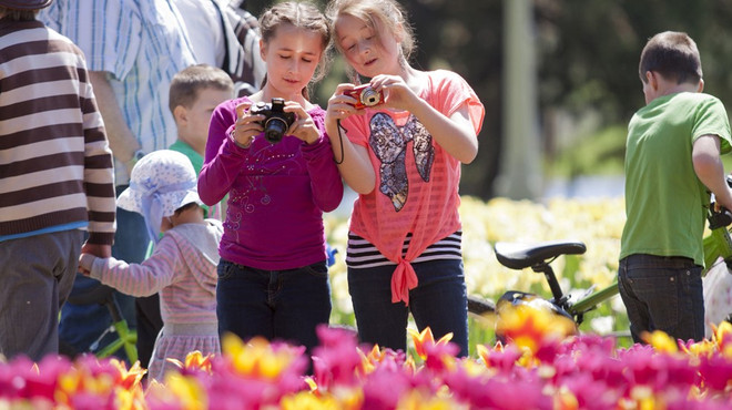 Mùa Xuân đến sớm - món quà bất ngờ đối với người dân Canada ảnh 1