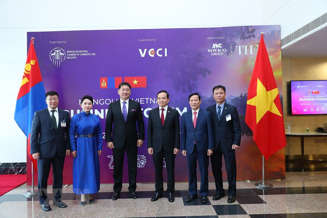 Mở rộng hợp tác kinh tế giữa hai nước Việt Nam và Mông Cổ ảnh 1