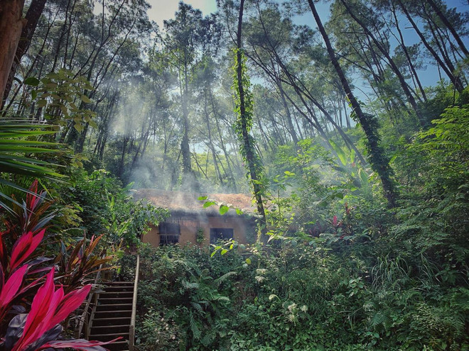 Cần cuộc 'cách mạng xanh' cho du lịch Việt phục hồi hậu COVID-19? ảnh 2