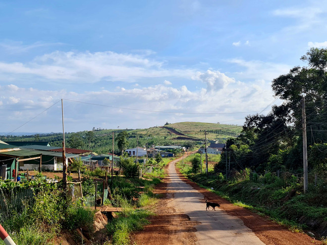 Nhà đầu tư thuê đất rồi bỏ không, dân lấn chiếm cả cụm công nghiệp ảnh 1