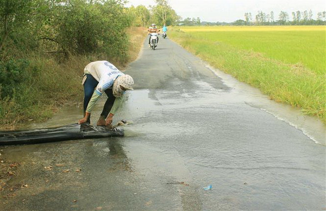 Tìm giải pháp ứng phó hiệu quả với hạn mặn ở Đồng bằng sông Cửu Long ảnh 2