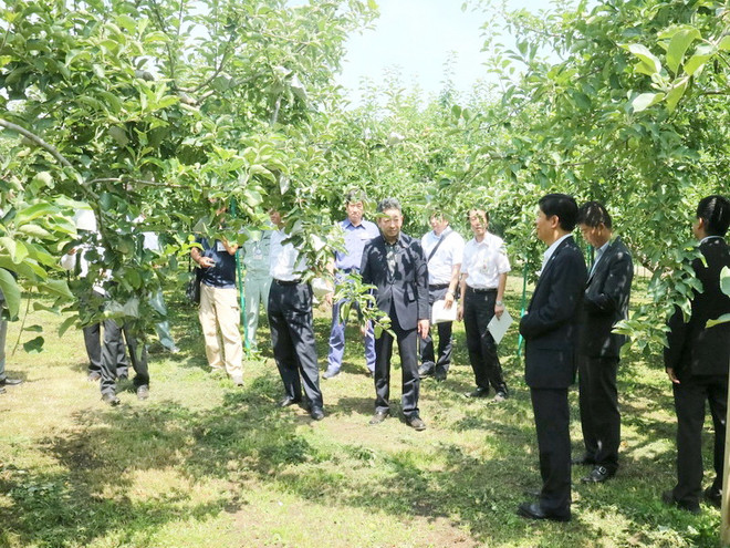 Tỉnh trồng táo lớn nhất Nhật Bản hợp tác với các địa phương Việt Nam ảnh 2