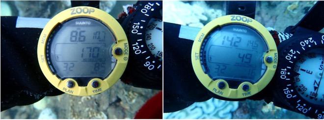 ttxvn_san ho bi tay trang (1).png