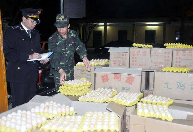 Quảng Ninh tiêu hủy gần 25.000 quả trứng gà nhập lậu từ Trung Quốc ảnh 1