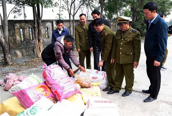 Bắt lái xe container chở hơn 10 tấn nội tạng động vật bốc mùi hôi thối ảnh 1