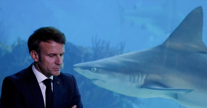 Hội nghị Đại dương LHQ 2022 thúc đẩy bảo tồn các đại dương ảnh 1