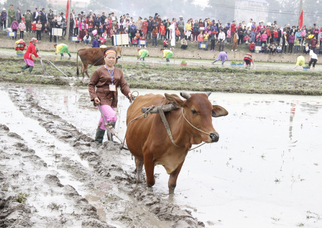 Sôi động Lễ hội xuống đồng Xuân Mậu Tuất ở tỉnh Thái Nguyên ảnh 1