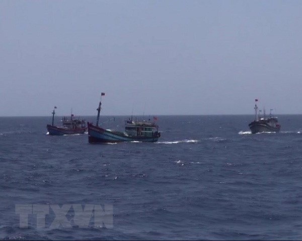 Hai tàu đánh cá của Nghệ An bị tàu vỏ sắt đâm chìm rồi bỏ chạy ảnh 1
