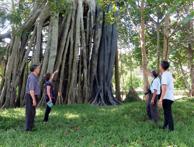 Phê duyệt Quy hoạch phát triển Khu du lịch quốc gia Tân Trào ảnh 1