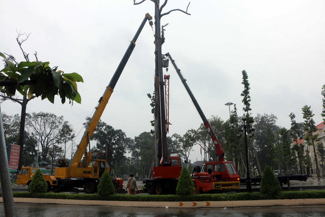 Sơ tán hàng chục nghìn người dân vào nơi tránh bão an toàn ảnh 2