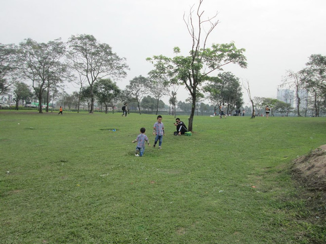 Phó Thủ tướng yêu cầu Hà Nội quy hoạch thêm công viên, bãi để xe ảnh 1