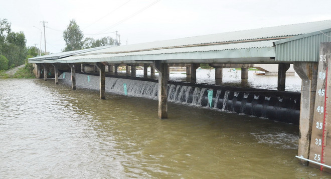 Xả đập kiểm soát lũ sông Cửu Long và vùng Tứ giác Long Xuyên ảnh 1