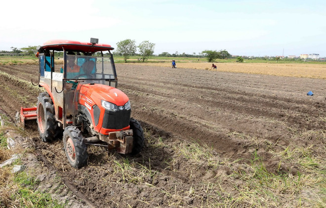 vnp_nong nghiep thai binh 3.jpg