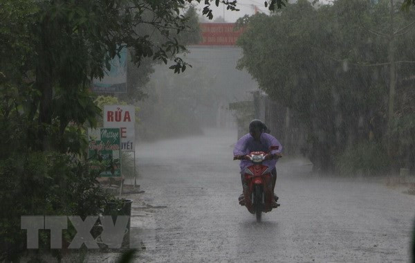 Ảnh minh họa. (Nguồn: TTXVN) Từ ngày 23 đến 24/9, Trung Bộ và Tây Nguyên có mưa lớn diện rộng ảnh 1