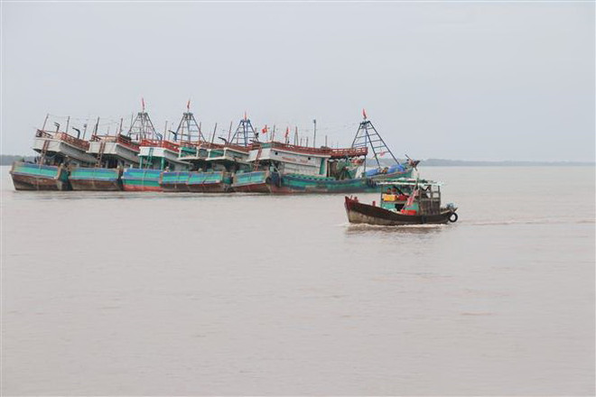 Ảnh minh họa. (Nguồn: TTXVN) Khánh Hòa: Ngư dân phấn khởi vì có 'lộc biển' đầu năm Quý Mão ảnh 1