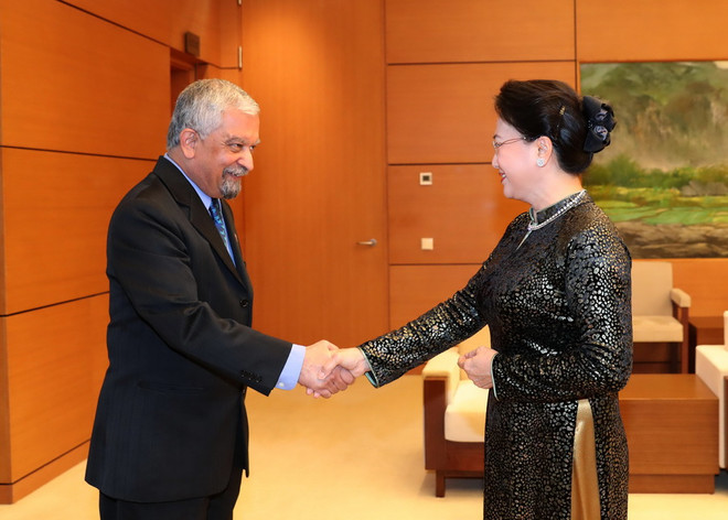 Chủ tịch Quốc hội tiếp Trưởng đại diện UNDP tại Việt Nam ảnh 1