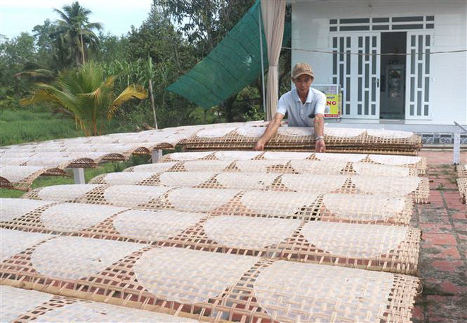 Vĩnh Long: Làng nghề bánh tráng Cù lao Mây nhộn nhịp đón Tết ảnh 1