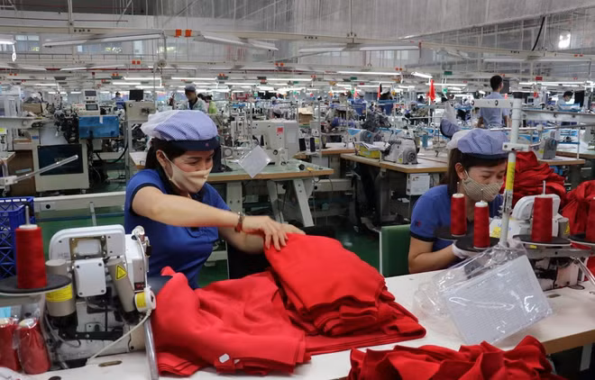 'Việt Nam rất nỗ lực để hạn chế tác động tiêu cực của COVID-19' ảnh 1