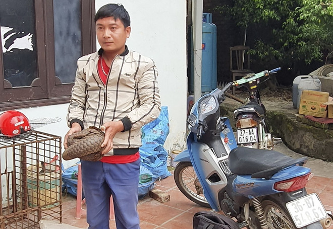 Điện Biên: Bắt giữ 2 đối tượng vận chuyển trái phép động vật hoang dã ảnh 1
