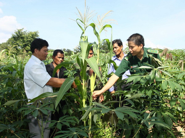 Thắm đượm nghĩa tình bản vùng cao biên giới Việt-Lào ảnh 1