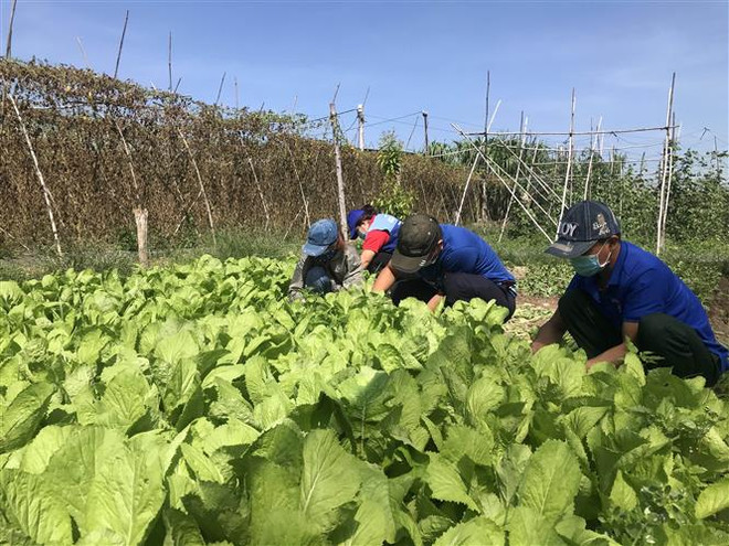 Yên Bái, Thái Nguyên, Kon Tum hỗ trợ TP.HCM chống dịch COVID-19 ảnh 2