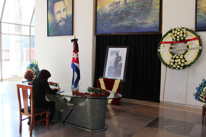 Cộng đồng người Việt tại Mexico tưởng niệm lãnh tụ Cuba Fidel Castro ảnh 1