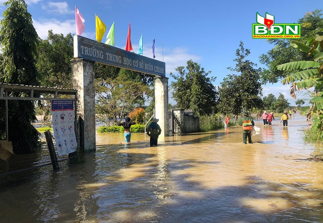 Đắk Nông: Nước sông dâng cao đột ngột gây thiệt hại nặng cho người dân ảnh 1