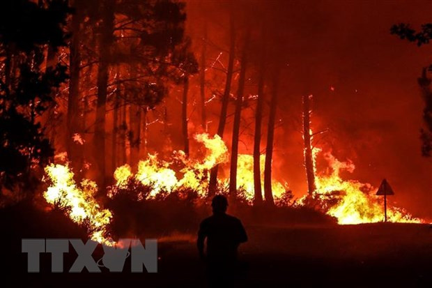 Bang California sử dụng trí tuệ nhân tạo để phát hiện cháy rừng ảnh 1