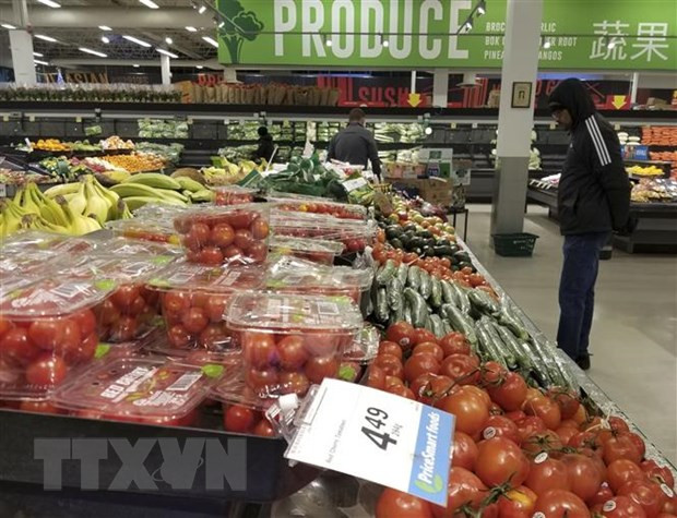 Chuyên gia dự báo kinh tế Canada đang bước vào suy thoái ảnh 1