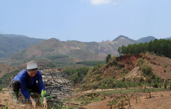 Thanh Hóa: Hỗ trợ trên 20.000 hộ dân thiếu đất sản xuất và đất ở ảnh 1