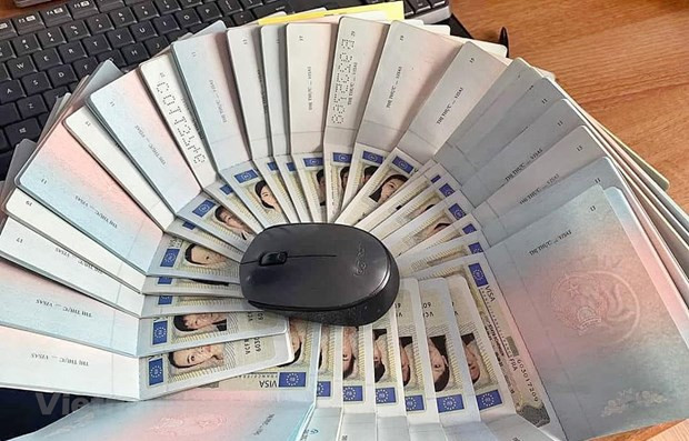 Toàn bộ quá trình cấp e-visa được thực hiện qua phương tiện điện tử ảnh 1