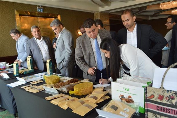 Doanh nghiệp cần xem xét kỹ hợp đồng khi xuất hàng đi Ai Cập ảnh 1