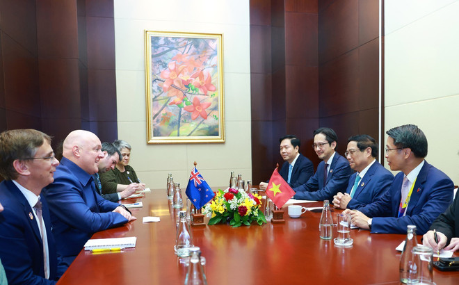 ttxvn_Thu tuong Vietnam_New Zealand (2).jpg