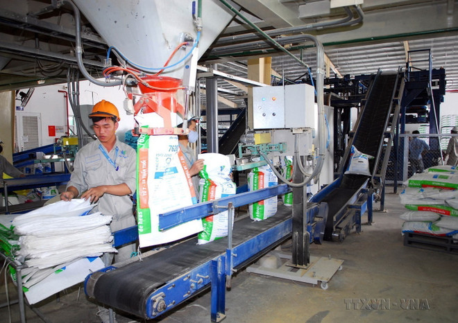 Việt Nam-Hà Lan: Điển hình của mối quan hệ năng động và hiệu quả ảnh 4