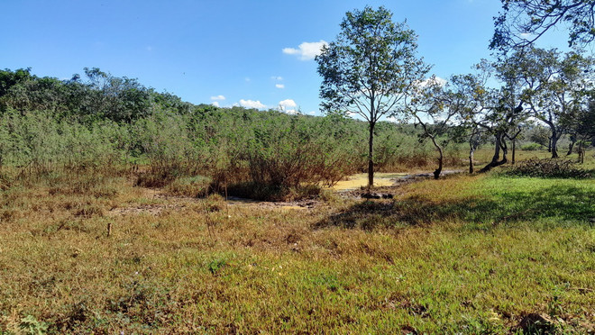 Đất canh tác bị ngập do dự án thủy điện: Người dân mỏi mòn chờ hỗ trợ ảnh 2