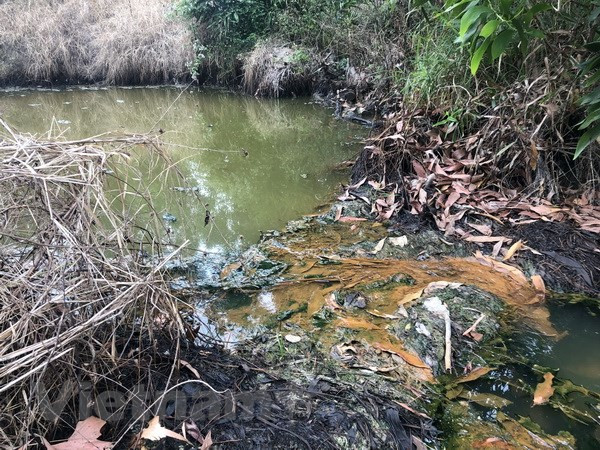 Đồng Nai: Kiểm tra, xử lý Công ty Cù Lao Xanh gây ô nhiễm môi trường ảnh 1