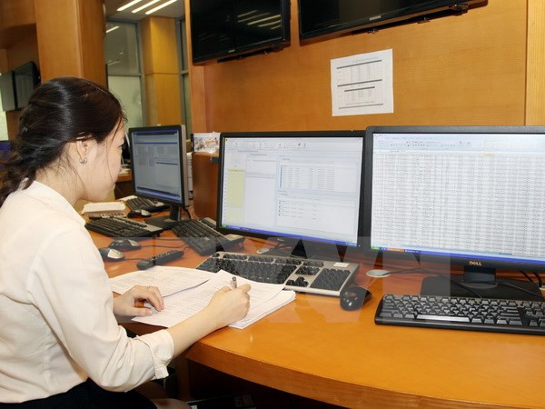 Cân nhắc kỹ lưỡng việc phát hành 3 tỷ USD trái phiếu quốc tế ảnh 1