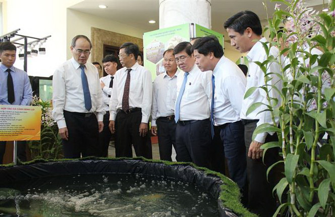 Xây dựng nông thôn mới: Tăng hiệu quả kinh tế, thu nhập cho nông dân ảnh 1