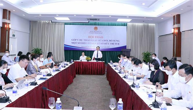 Sửa đổi, bổ sung Luật Sở hữu trí tuệ nhằm đáp ứng yêu cầu thực tiễn ảnh 2