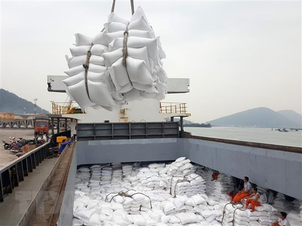 Bốc xếp gạo xuất khẩu tại cảng Cửa Lò (Nghệ An). (Ảnh: Danh Lam/TTXVN) Phát huy vai trò trụ đỡ của nền kinh tế trong bối cảnh đại dịch ảnh 1