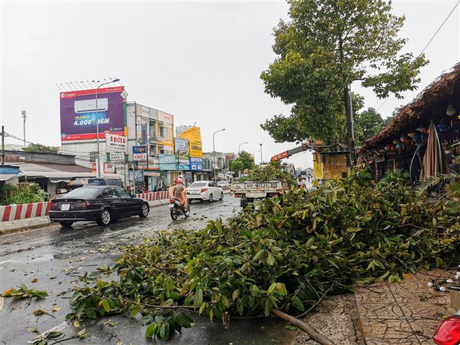 Cần Thơ: Nhà tốc mái, cây xanh bật gốc trong cơn mưa lớn ảnh 1