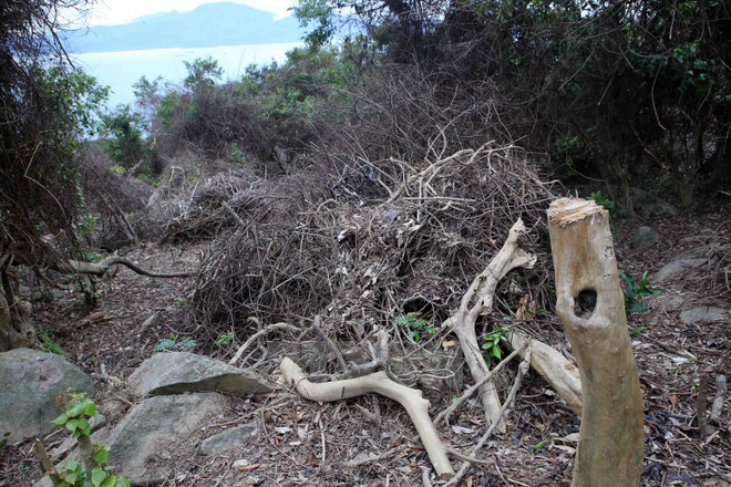 Đắk Nông: Nổ súng hăm dọa, đánh nứt xương cánh tay của kiểm lâm ảnh 1