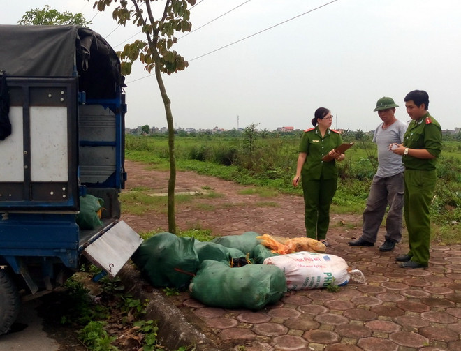 Phát hiện xe ôtô chở nội tạng thối đem bán cho các quán nhậu ảnh 1