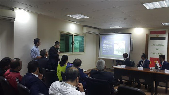Thúc đẩy hợp tác kinh tế, đầu tư giữa Việt Nam và Ai Cập ảnh 1