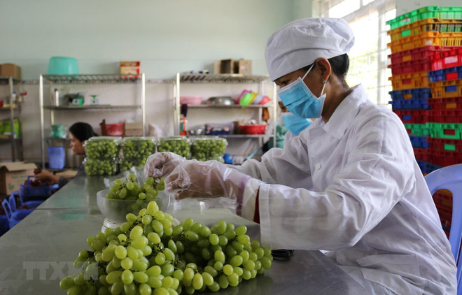 Nhập cuộc thương mại xuyên biên giới cùng sản phẩm lợi thế ảnh 1