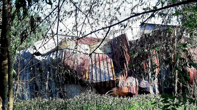 TP Hồ Chí Minh: Cháy lớn thiêu rụi 5 tấn phế liệu cùng nhiều tài sản ảnh 1